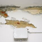 Drywall Repairs During the Rainy Season
