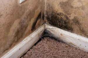 Drywall Issues