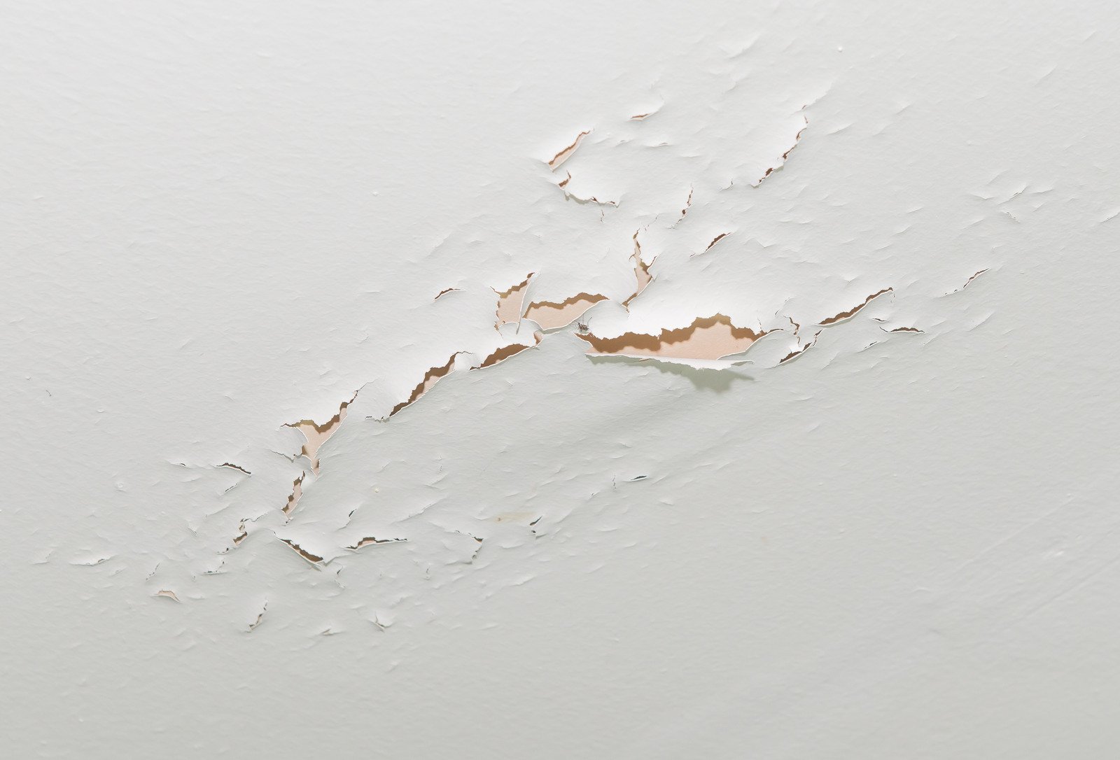Paint ceiling Crack repair in Victoria, BC
