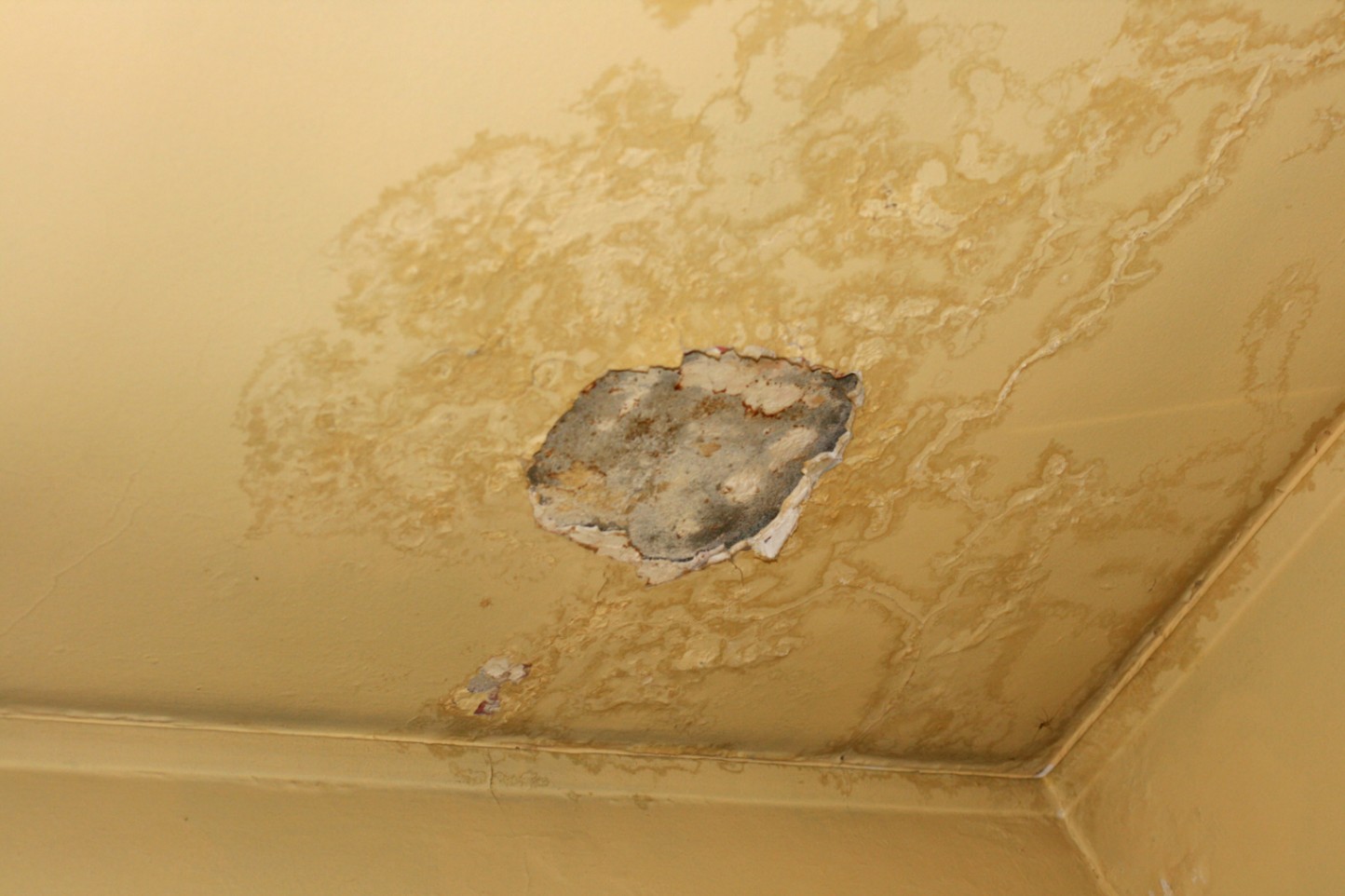Sagging Ceiling repair in Victoria, BC